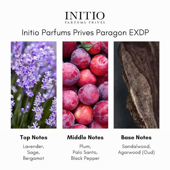 Initio Paragon Extrait de Parfum