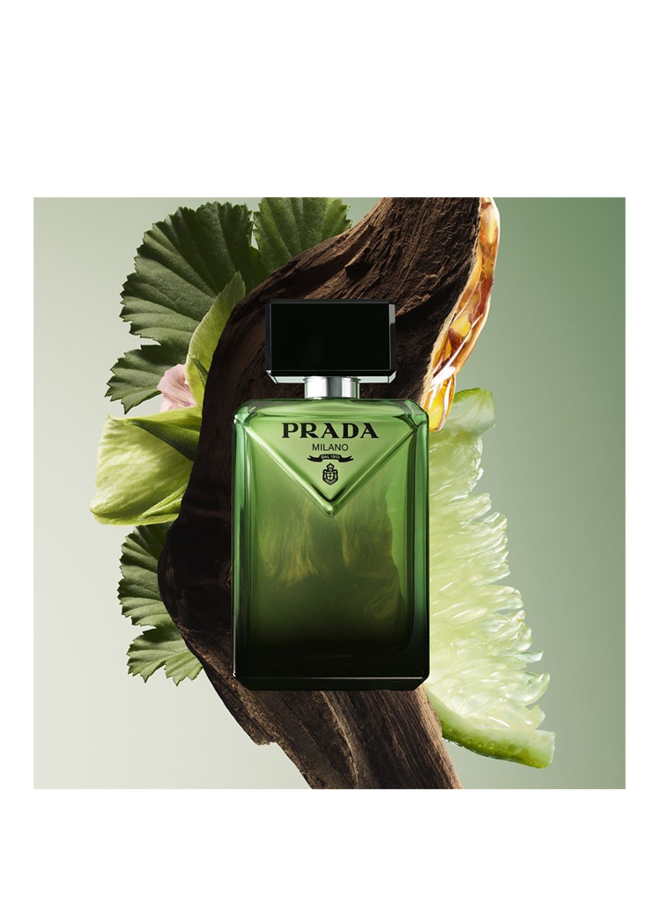 Prada Paradigm