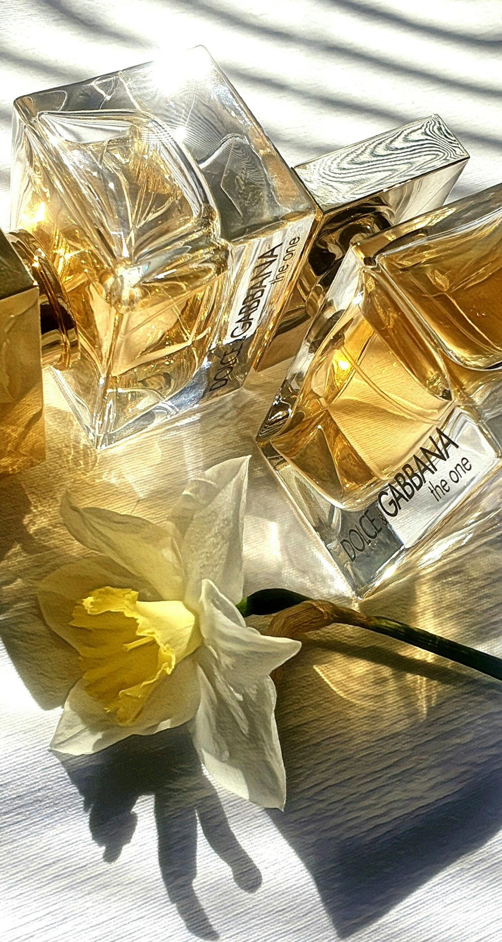 D&G The One EDP
