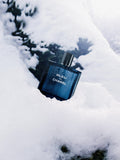 Bleu de Chanel Edt