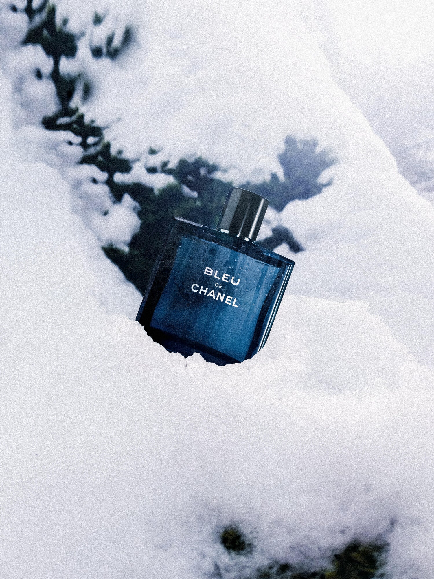 Bleu de Chanel Edt