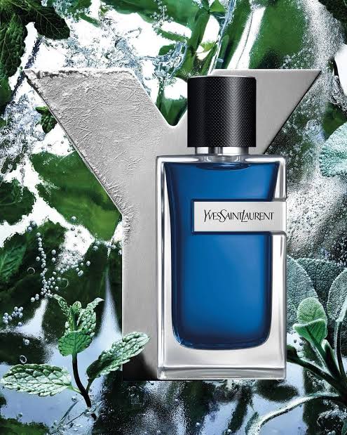 Ysl Y Iced Cologne
