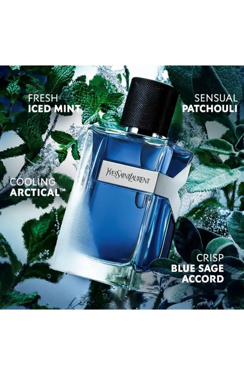 Ysl Y Iced Cologne
