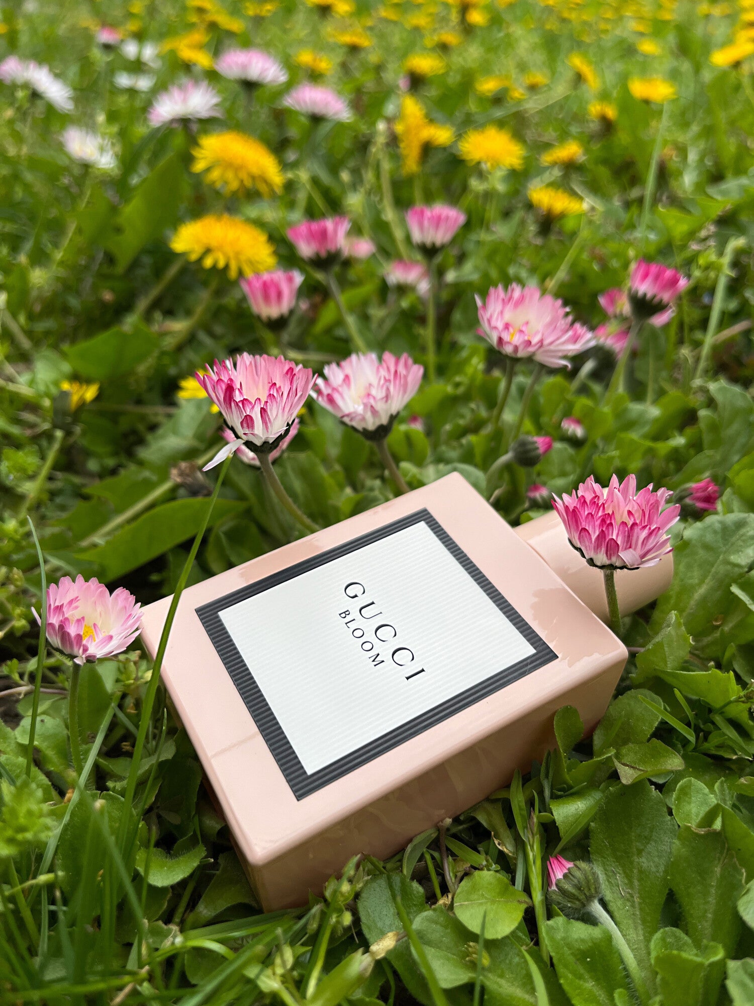 Gucci Bloom Edp