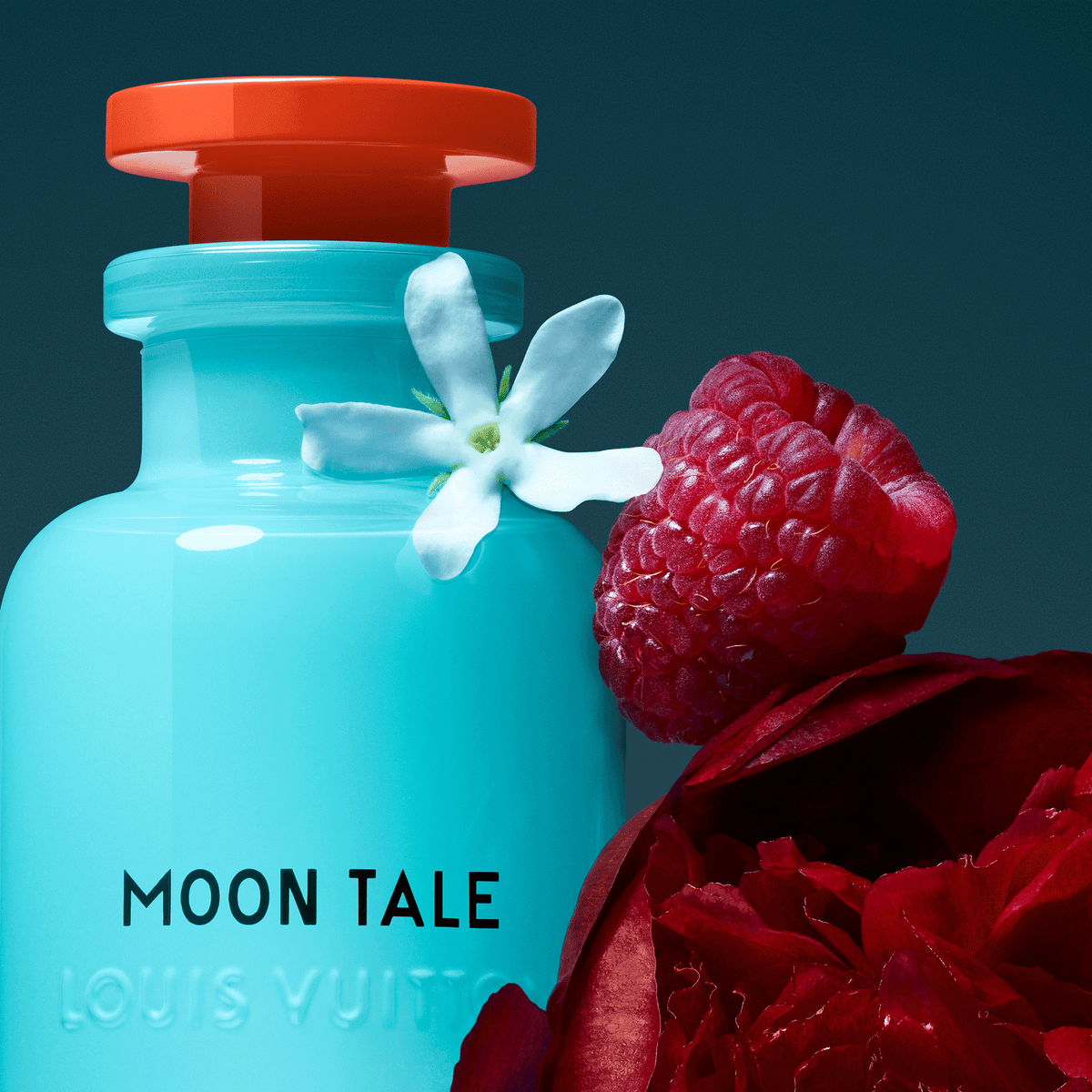 Louis Vuitton Moon Tale