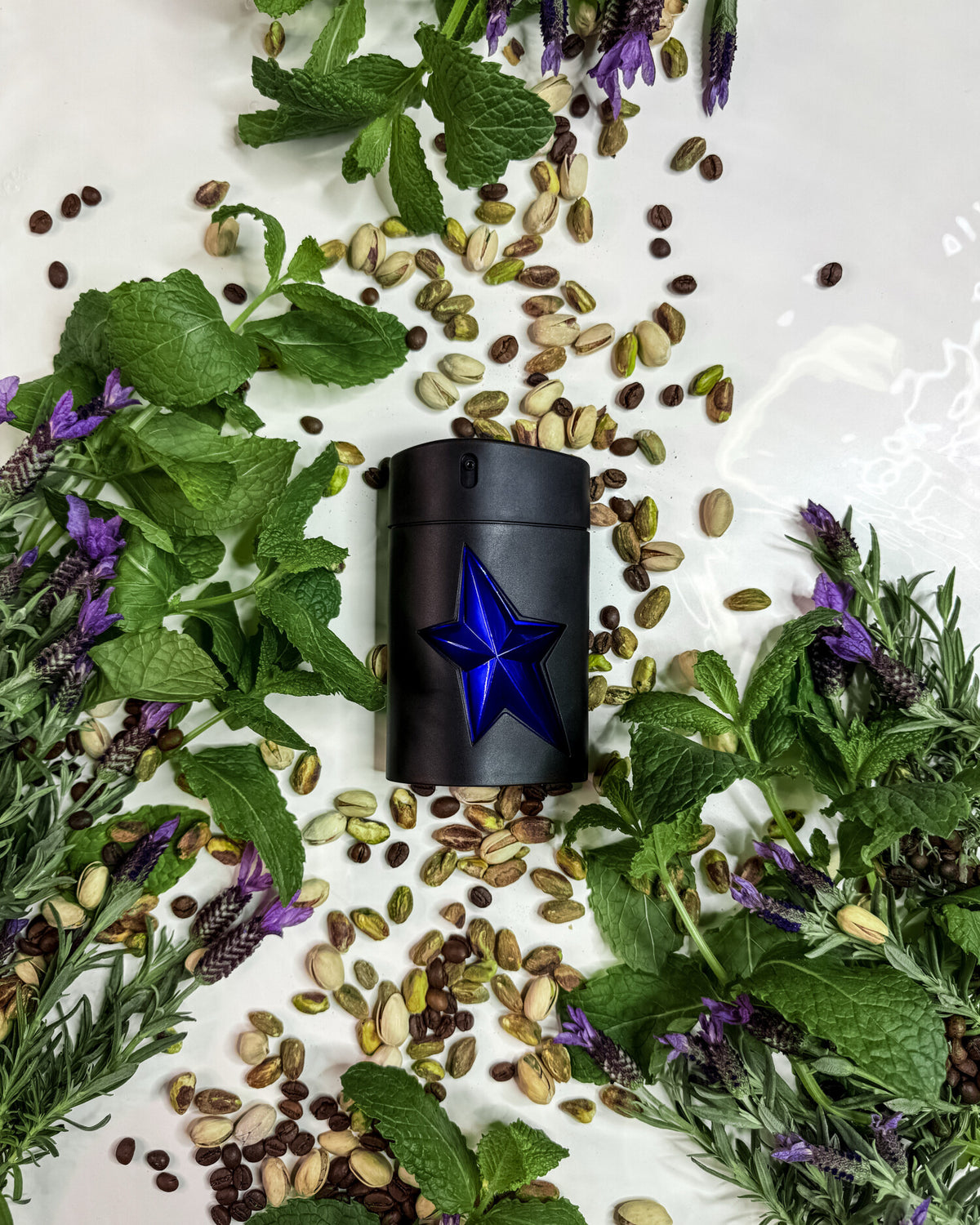 Mugler A*Men Stellar