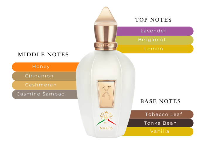 Xerjoff Naxos 1861 EDP